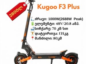 Kugoo F3 Plus | 1000W (2688W Peak)